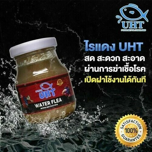 High Protein Instant Fish Food For betta, guppy, fry fish 3