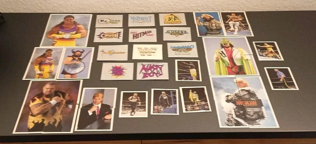 Carte à Collectionner WWE Merlin Hulk Hogan - Autocollant - Édition Invendable