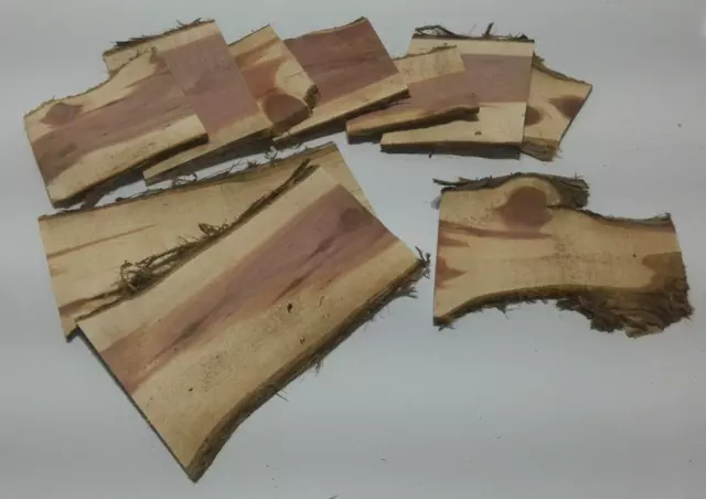RED AROMATIC CEDAR Live Edge Mini Slab Kiln Dried 5 Pounds Per Order Ships Free!