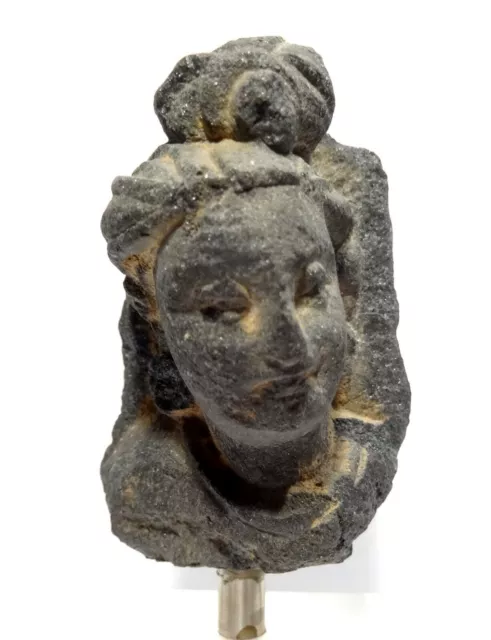 Head Of Gandhara Sculptured IN Shale - 200 Ad- Gandharan Schist Bodhisattva Head