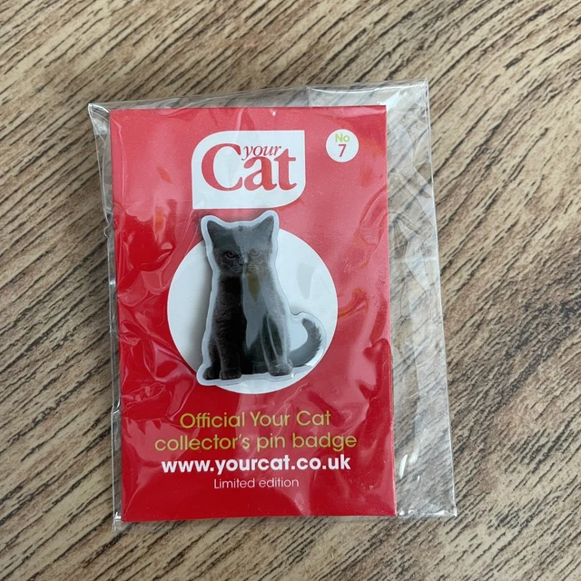 Cat & Chocolate Daily Edition Card Game - Fun Party Game With Creative Problem-Solving (New Version)