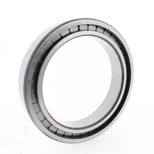 INA/Schaeffler Technologies SL182919-B-XL CYL. ROLL. SINGLE ROW 95 x 130 x 22...
