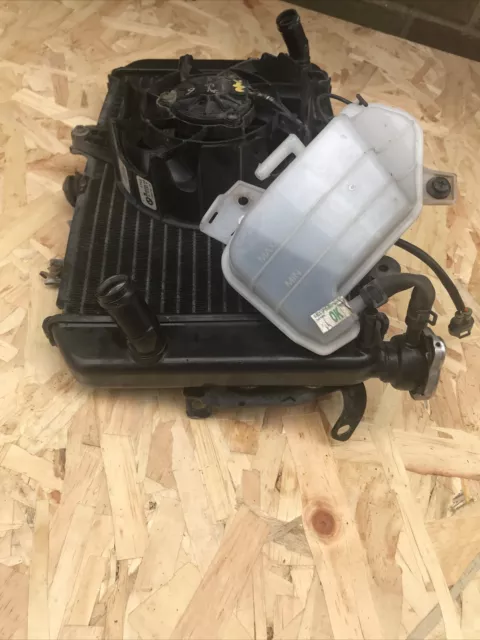 BMW G310R 2019 4756 Meilen Kühler und Gurrventilator mit Ausdehnungstank 3