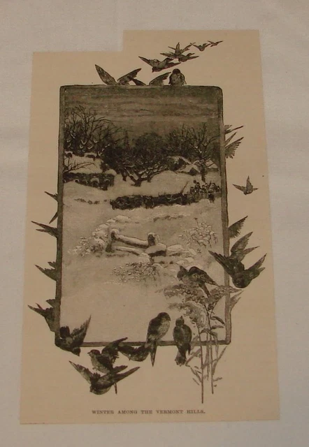 1891 Rivista Incisione ~ Invernale Among The Vermont Hills