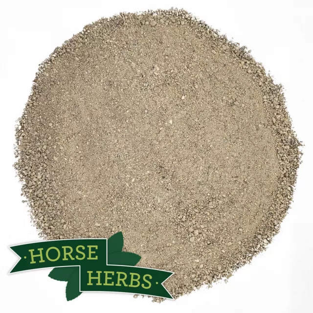 Horse Herbs Magnesium Oxide 1kg - Calmer Supplement for Horses, 99% Pure, Equine