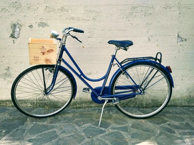 bicicletta azzurra freni bacchetta lg