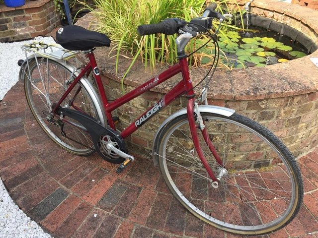 raleigh pioneer 120 bike
