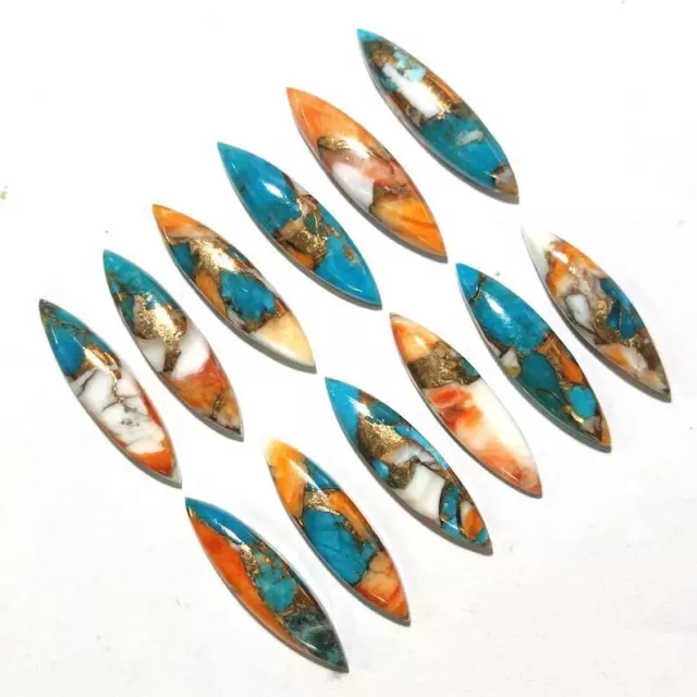 Natural Spiny Oyster Copper Turquoise Marquise Cabochon For Jewelry Loose Gems