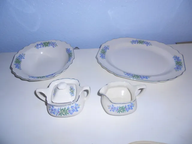 WS George Blue Flora Lido Scalloped Silver Trim Serving Pieces USA #196A