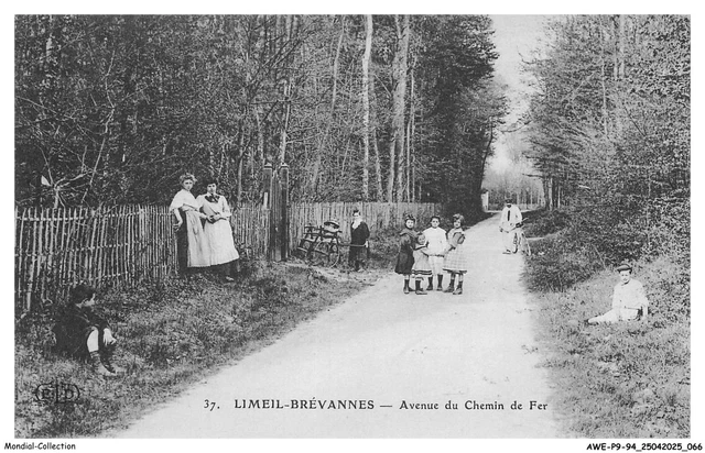 CPA Brévannes – Avenue De La Planchette – Carte Postale Ancienne Voyagée – 94 Val-de-Marne