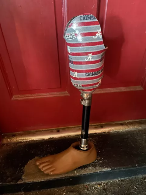 prosthesis leg