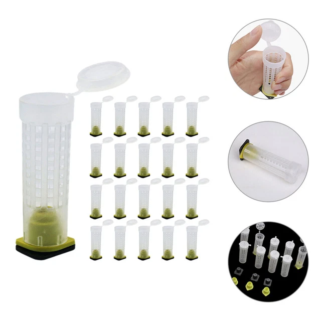 Cage d'élevage d'abeilles, 40 pièces, Cage de Transport d'abeilles, gardien