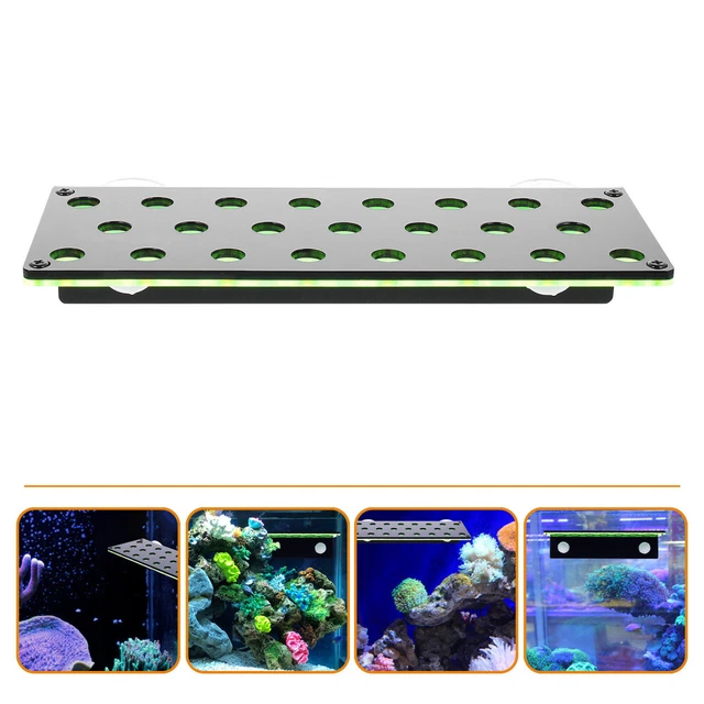 Porta di corallo fluorescente Frag Frag Professional Fish Coral Rack Base Frag