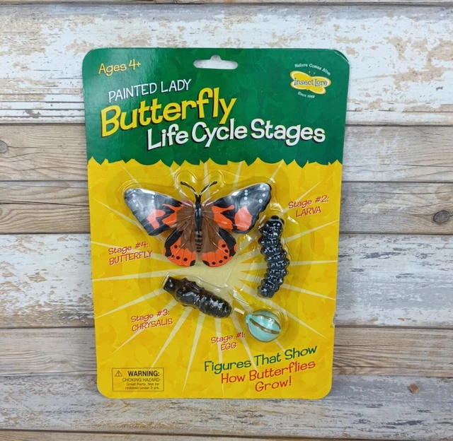 INSECT LORE LIFE Cycle Stages Butterfly Caterpillar (New & Sealed) £10.