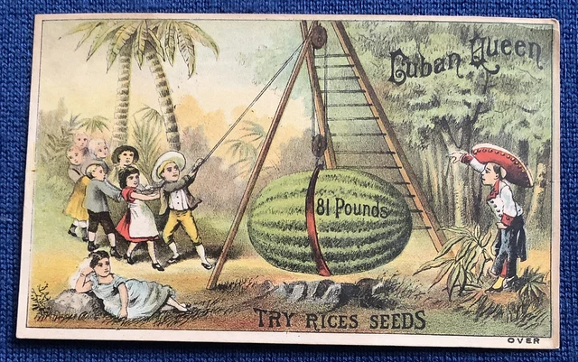 Trade Card Cambridge Valley NY Cuban Queen Watermelon Rice’s Seeds