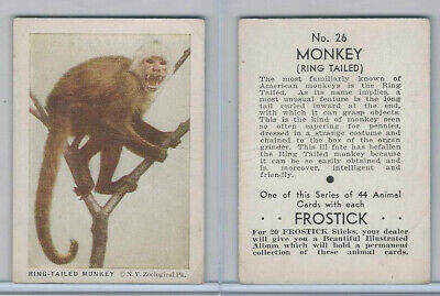 F55 Frostick, Animal Cards, 1933, #26 Ring Tailed Monkey