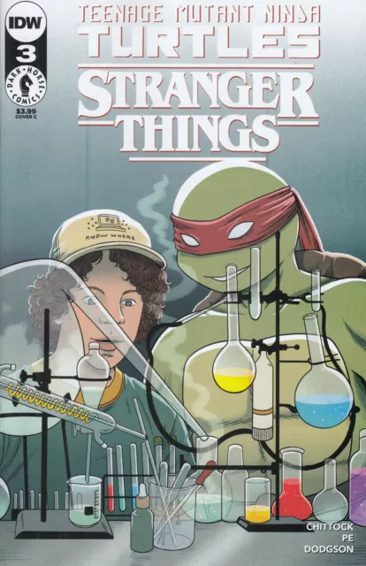 Teenage Mutant Ninja Turtles X Stranger Things Nr 3 Variant Cover C 2023 new