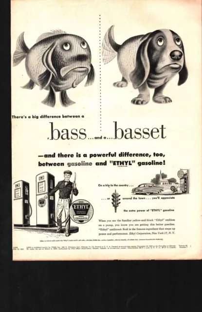 Vintage 1951 Ethyl Gasoline Bass & Basset Full Page Original Ad nostalgic d4