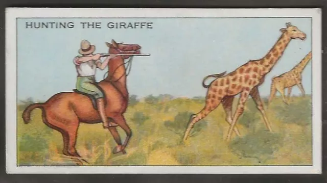 Ardath-Big Game Hunting 1930-#21- Giraffe