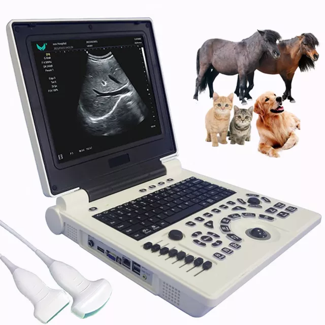 VET Veterinary Digital Portable Ultrasound Scanner Machine Laptop Convex Probe