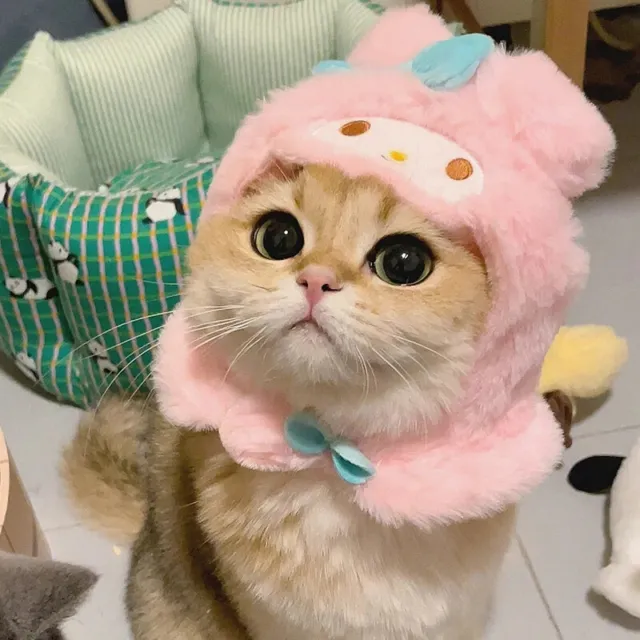 Gatto carino cartone animato decorativo divertente gatto copricapo cane cappello per animali domestici LM❤