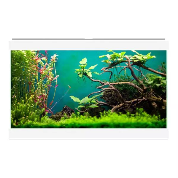 Ciano Aqua 20 Classic Aquarium 17L with Filter Beginner Fish Tank White or Black 2