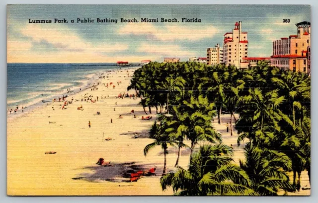 Vintage Florida Postcard - Lummus Park   Miami Beach