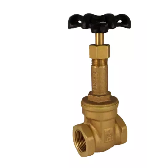 Hammond IB641 Gate Valve 1/4 NPT Bronze 150 SWP 300 WOG