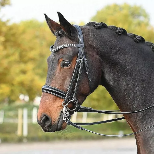 Busse Luxury Patent Double Bridle Comfort Headpiece Including Reins, £100 OFF!
