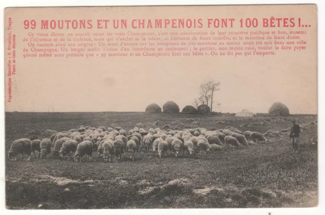 Cpa 51 - 99 Moutons Et Un Champenois Font 100 Bêtes ! (Marne) Non Écrite