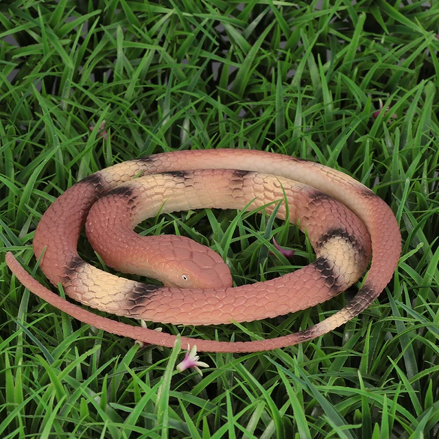 2 Pcs Giocattolo Serpente Realistico Serpente Imitazione Di Halloween Come Reale