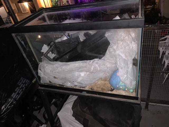 fish tank