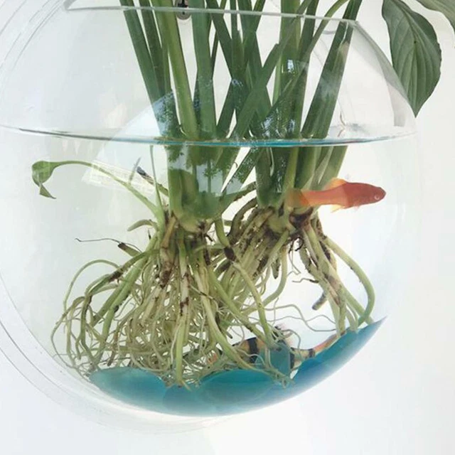 Clear Wall Mounted Fish Bowl Aquarium Plant Tank Beta Goldfish Hanger Decoration 10