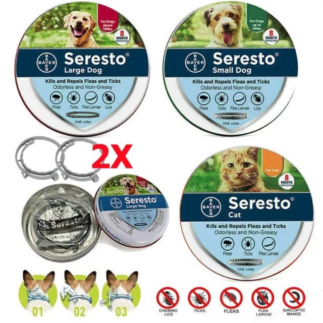 2X Collar Antiinsectos Pulgas y garrapatas 8 Meses Protección para Gatos Perro