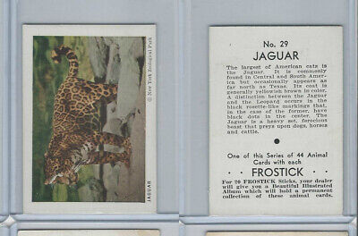 F55 Frostick, Animal Cards, 1933, #29 Jaguar