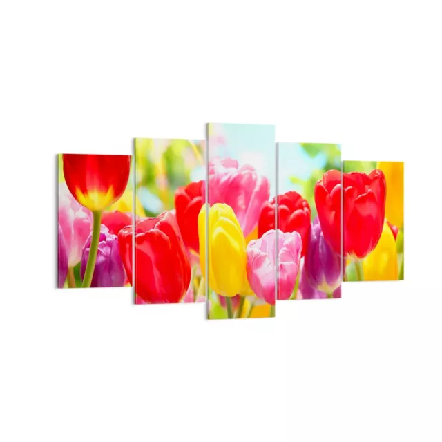 Wandbilder 160x85cm 5 tlg Leinwandbild Tulpe Blume Garten Plantage XXL Bilder