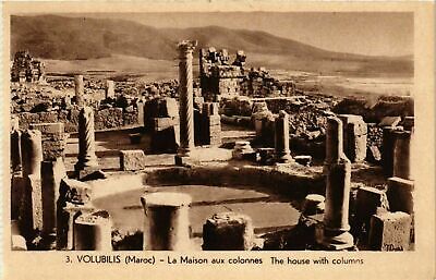 CPA ak volubilis home in columns morocco (825259)