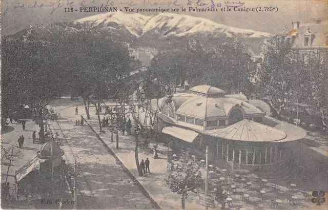 Cpa 66 Perpignan Vue Panoramique Sur Le Palmarium Et Canigou