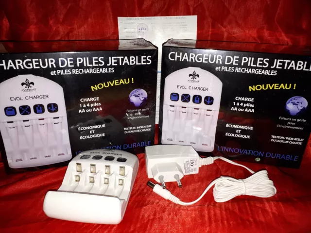 Lot de 2 Chargeurs de piles jetables et rechargeables AA et AAA