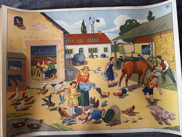 Affiche Scolaire MDI 11 - Le blé - 12 - Le sel - - boutique en ligne de brocante