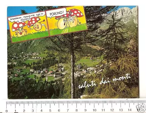 Cartolina Saluti Dai Monti Bratto Valle Seriana F6067