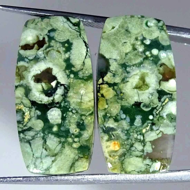 23.80Cts Natürlich Regenwald Jaspis Paar Rhyolite Kissen Cabochon Lose Edelsteim