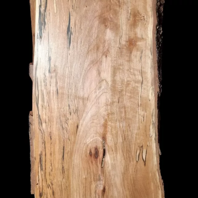 Tasmanian Golden Myrtle Board Timber Craft Wood Woodworking Slab Live Edge