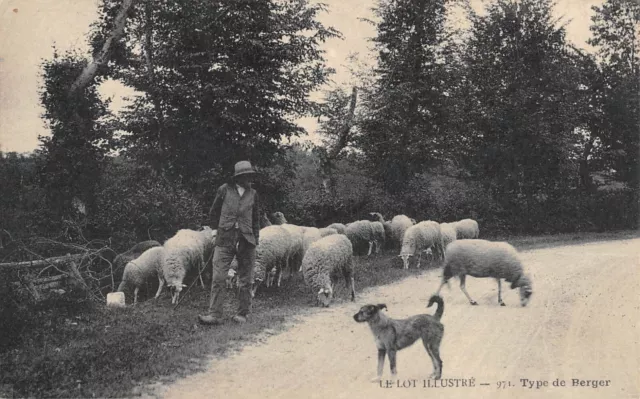 Cpa 46 The Lot Illustrious Shepherd Type