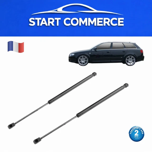 Vérins de coffre BMW F10 F11 – Paire OEM 51247204366 / 04367