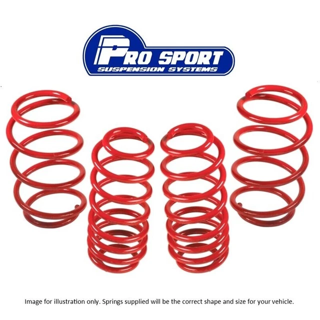 Prosport Kit Molla Abbassatrice 30mm per Ford Fiesta Mk8 JHH 1.0 1.1 1.5D