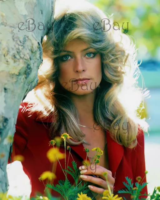 Farrah Fawcett 8x10 Photo REPRINT