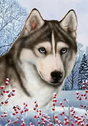 Winter Garden Flag - Blue-Eyed Grey and White Siberian Husky 154351