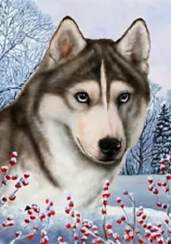 Winter House Flag - Blue-Eyed Grey and White Siberian Husky 15435