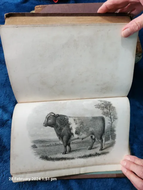 1st Edition V Rare 1844 THE BOOK OF THE FARM, STEPHENS VOLs 2 & 3 FARM Agricultu